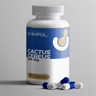 Reduza seu Apetite com Cactus Cereus 200mg 60 capsulas